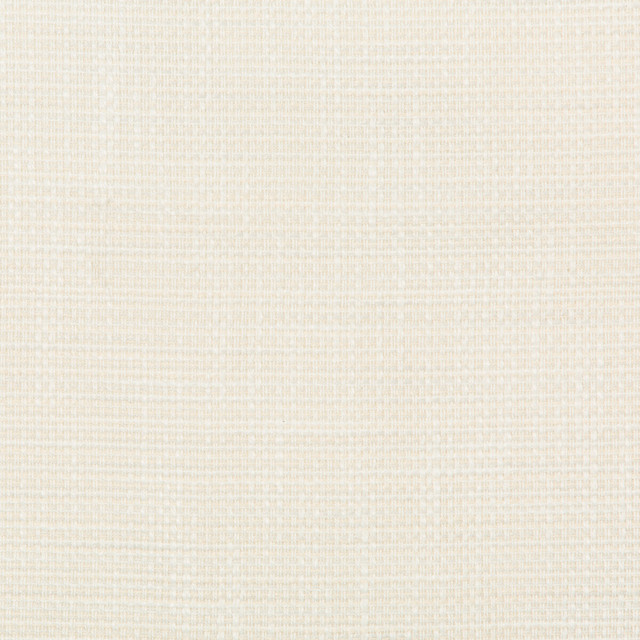 Kravet Design Fabric 36082-1 INSIDE OUT PERFORMANCE FABRICS POLYESTER - 92%;OLEFIN - 8% United States HEAVY Horizontal: 0 and Vertical: 0 55.75 - My Fabric Connection -