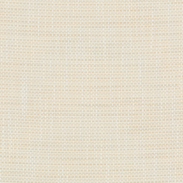 Kravet Design Fabric 36082-1116 INSIDE OUT PERFORMANCE FABRICS POLYESTER - 92%;OLEFIN - 8% United States HEAVY Horizontal: 0 and Vertical: 0 55.75 - My Fabric Connection -