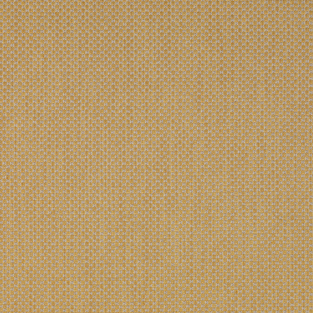 Lee Jofa Fabric Devon Gold BLITHFIELD LINEN - 36%;COTTON - 30%;VISCOSE - 28%;POLYAMIDE - 6% Italy MEDIUM Horizontal: 0 and Vertical: 0 54.33 - My Fabric Connection -