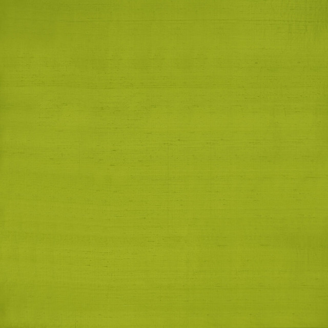 Clarke And Clarke Fabric Slyph Lime WILDERIE BY EMMA J SHIPLEY FOR C&C SILK - 100% India Horizontal: 0 and Vertical: 0 54 - My Fabric Connection -