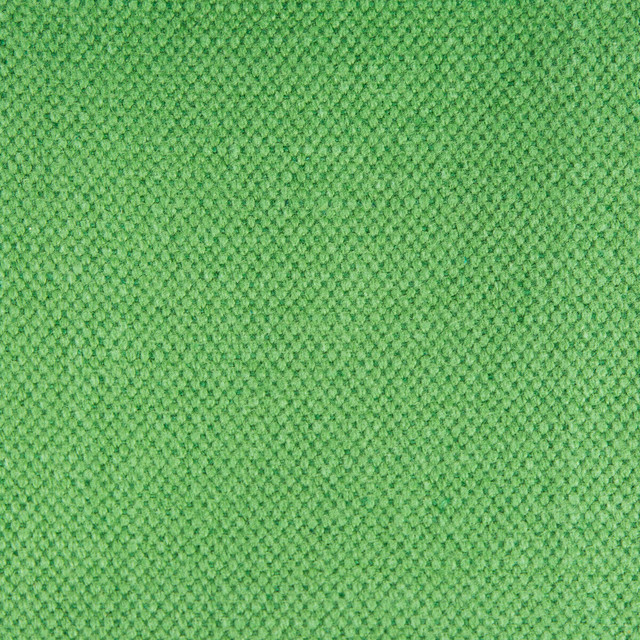Gaston Y Daniela Fabric Lima Verde GASTON NUEVO MUNDO COTTON - 65%;LINEN - 35% Spain MEDIUM Horizontal: and Vertical: 110 - My Fabric Connection -