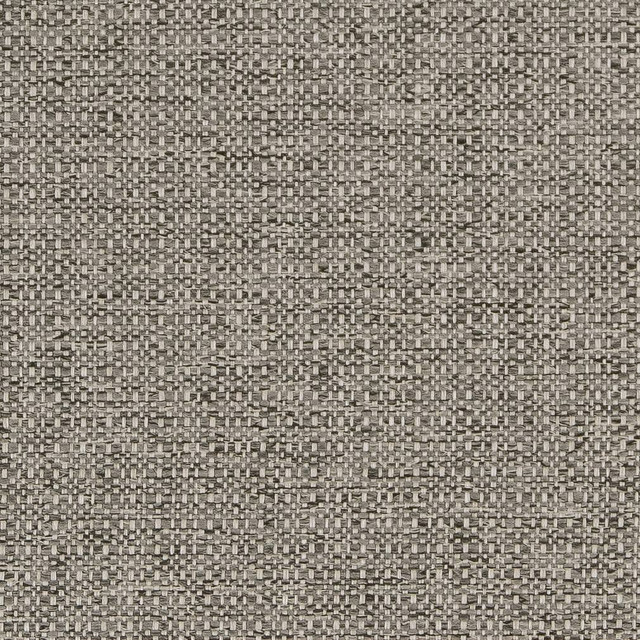 Charlotte Fabric D1979 Platinum Rustic Wovens 100% Polypropylene Made In USA Exceeds 60,000 Wyzenbeek Rubs (Heavy Duty) </p><p>Repeat: 54 Inches - My Fabric Connection -