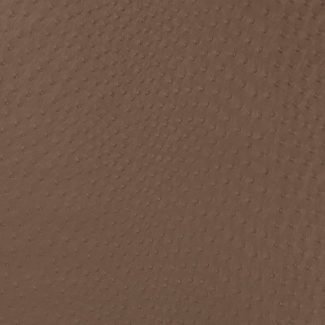 Charlotte Fabric V594 Mink Exotics II 100% Vinyl Asia Exceeds 200,000 Wyzenbeek Rubs (Heavy Duty) </p><p>Repeat: 54 Inches - My Fabric Connection -