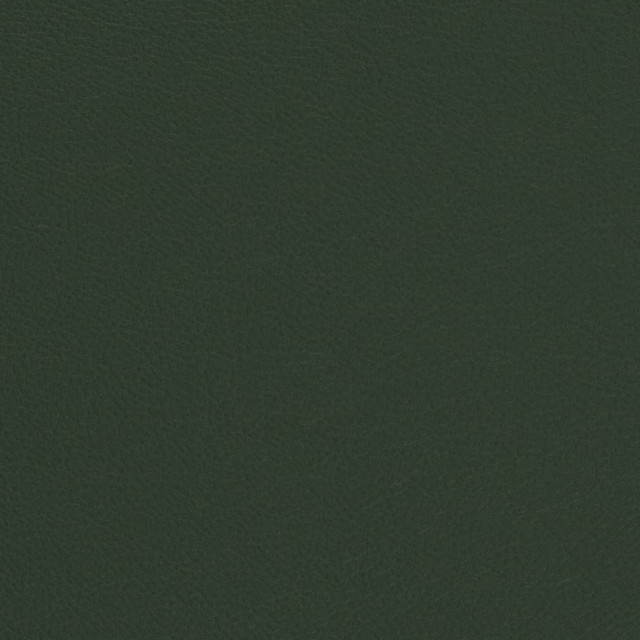 Charlotte Fabric V699 Evergreen Defender Face: 100% PVC, Back: Polyester knit backing, 28oz Thailand Exceeds 2,000,000 Wyzenbeek Double Rubs (Heavy Duty) </p><p>Repeat: 54 Inches - My Fabric Connection -
