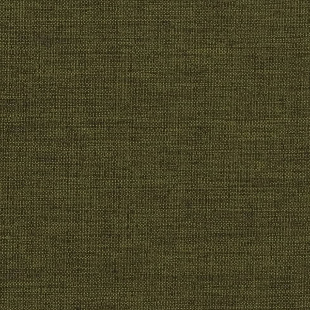 Charlotte Fabric D2201 Moss Textured Plains II 100% Polyester Turkey Exceeds 100,000 Wyzenbeek Rubs (Heavy Duty) </p><p>Repeat: 54 Inches - My Fabric Connection -
