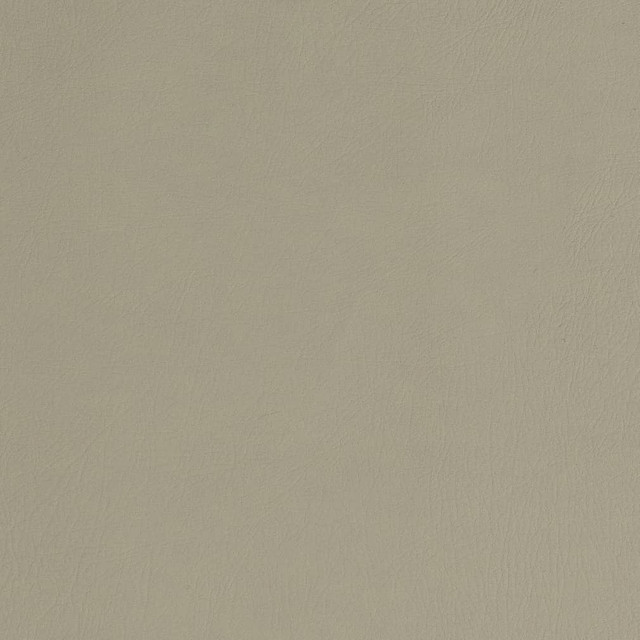 Charlotte Fabric V753 Stone Decorative Vinyl II 55% PVC, 40% Polyester, 5% Polyurethane Asia Exceeds 100,000 Wyzenbeek Rubs (Heavy Duty) </p><p>Repeat: 54 Inches - My Fabric Connection -