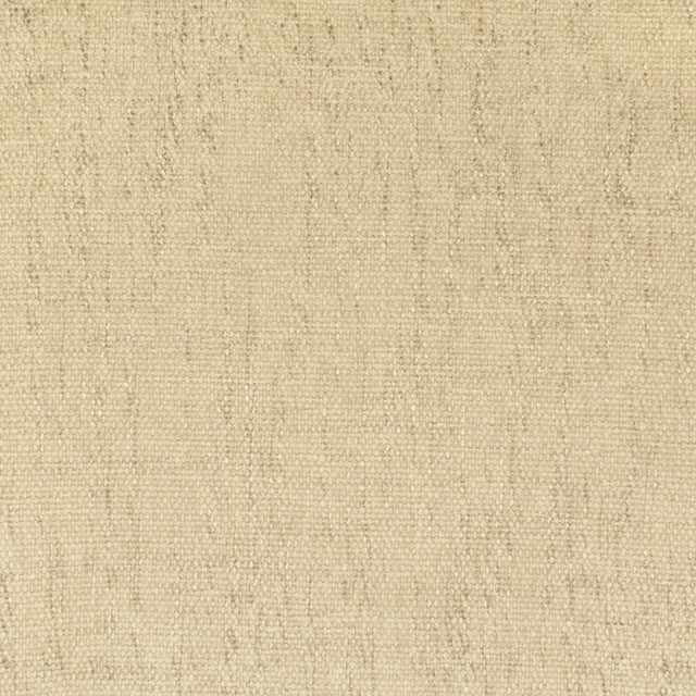 Greenhouse Fabric F3019 Natural 100% Polyester China 50,000 double rubs </p><p>Repeat: None 55" - My Fabric Connection -