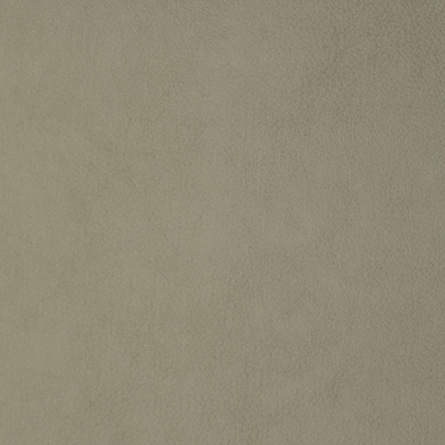 Greenhouse Fabric F1856 Bone Contents: 100% Polyerethane, Backing: 85% Polyester, 15% Cotton China 100,000 double rubs </p><p>Repeat: NONE 58" - My Fabric Connection - Greenhouse Fabric F1856 Bone Contents: 100% Polyerethane, Backing: 85% Polyester, 15% Cotton China 100,000 double rubs </p><p>Repeat: NONE 58" - My Fabric Connection -