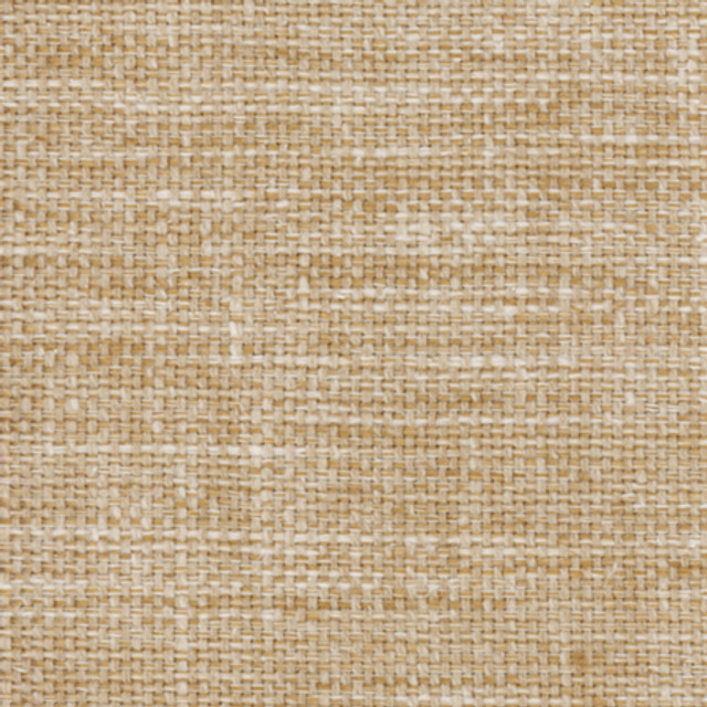 Carole Fabric Lazarus Tuscan Prominence 54% Cotton, 46% Polyester India N/A </p><p>Repeat: None 54" - My Fabric Connection -
