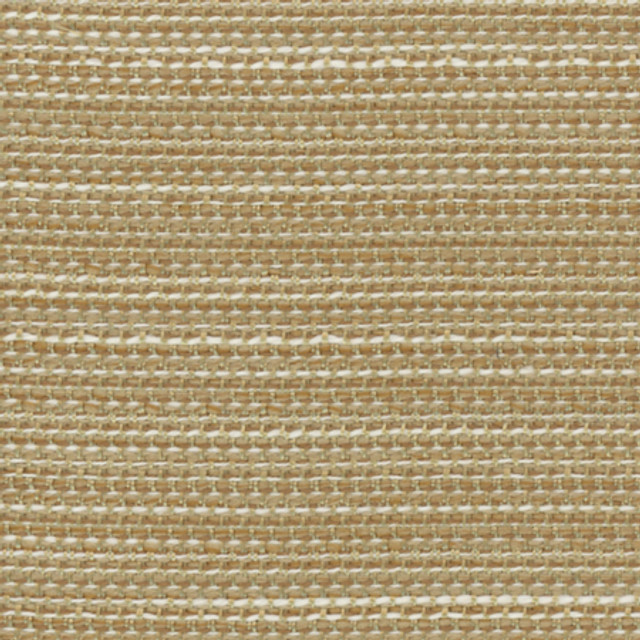 Carole Fabric Forestall Biscotti Synchrony 100% Polyester Mexico 30,000 Wyzenbeek Double Rubs </p><p>Repeat: None 58" - My Fabric Connection -