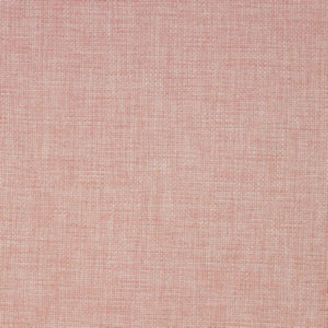 Norbar Fabric Rex Blush SOLAR 100% POLYESTER WITH ACRYLIC S. KOREA 55" - My Fabric Connection -