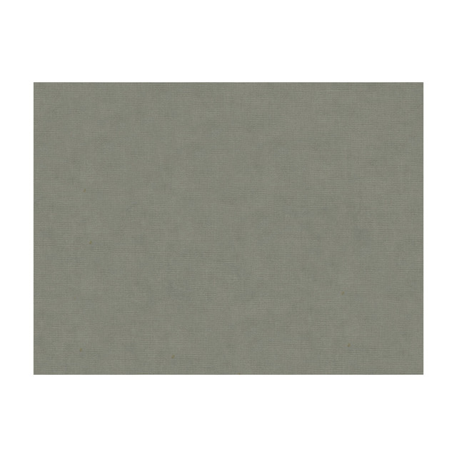 Brunschwig & Fils Fabric Charmant Velvet Pewter Fabric COTTON - 61%;VISCOSE - 39% Netherlands </p><p>Repeat: H: , V: 55 - My Fabric Connection -