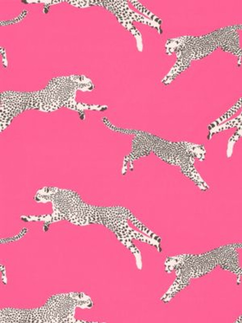 Scalamandre Fabric Leaping Cheetah Cotton Print Bubblegum SC166340003 SAHARA 100% COTTON ITALY LIGHT DUTY Horizontal: 25.125" and Vertical: 27.5" 55 - My Fabric Connection -