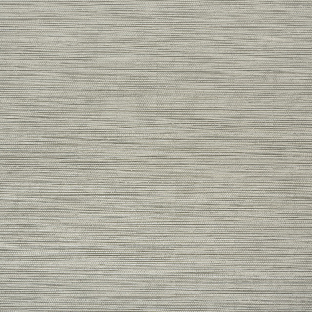 Aoc Wallcovering W1013-5 Madeline Chrome Wallpaper Wallcovering USA FLAME RETARDANT-A.S.T.M. E84 N.F.P.A. 286 </p><p>Repeat: H: 0.000, V: 0.000 27 in - My Fabric Connection -