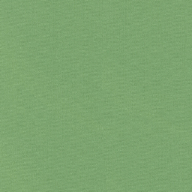 PKL Studio Fabric Vernon Leaf 410913 - 100% Cotton INDIA 21000 Horizontal: 0 and Vertical: 0 55 - My Fabric Connection -