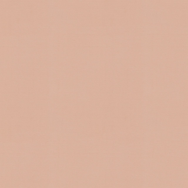 PKL Studio Fabric Vernon Blush 410936 - 100% Cotton INDIA 21000 Horizontal: 0 and Vertical: 0 55 - My Fabric Connection -