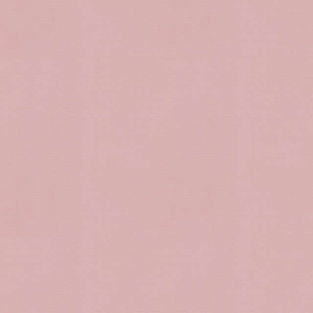 PKL Studio Fabric Vernon Ballet 410937 - 100% Cotton INDIA 21000 Horizontal: 0 and Vertical: 0 55 - My Fabric Connection -