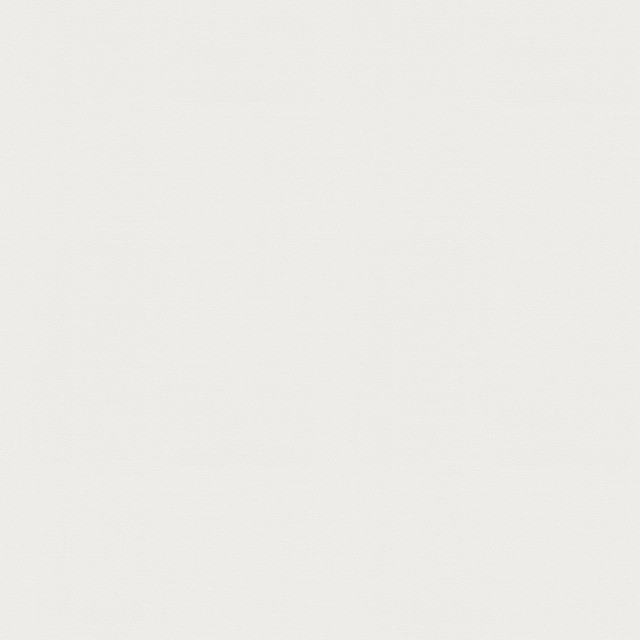 PKL Studio Fabric Vernon White 410944 - 100% Cotton INDIA 21000 Horizontal: 0 and Vertical: 0 55 - My Fabric Connection -