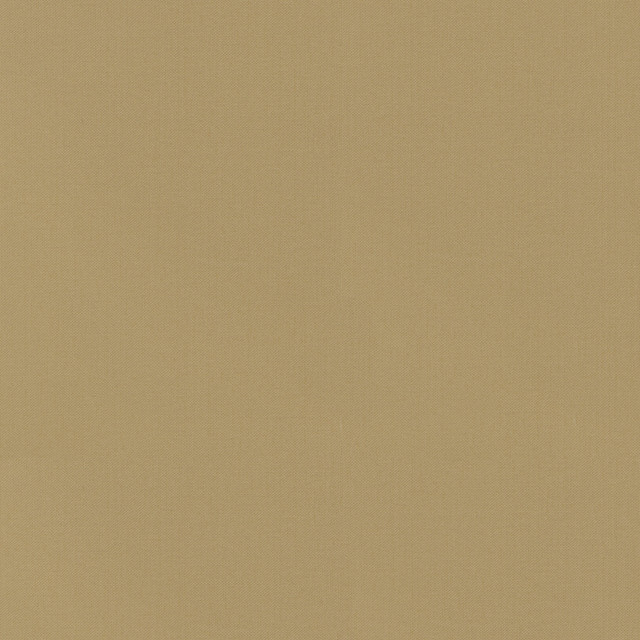 PKL Studio Fabric Vernon Wheat 410950 - 100% Cotton INDIA 21000 Horizontal: 0 and Vertical: 0 55 - My Fabric Connection -