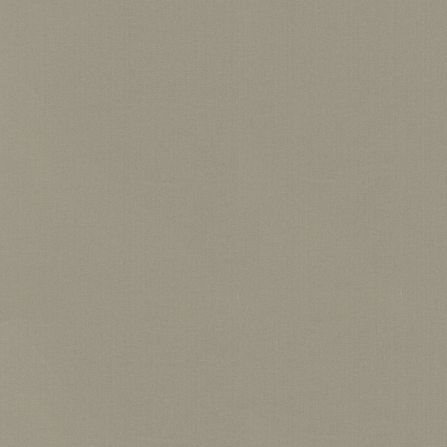 PKL Studio Fabric Vernon Limstone 410958 - 100% Cotton INDIA 21000 Horizontal: 0 and Vertical: 0 55 - My Fabric Connection -