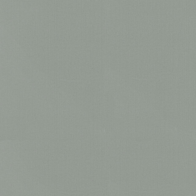 PKL Studio Fabric Vernon Pewter 410959 - 100% Cotton INDIA 21000 Horizontal: 0 and Vertical: 0 55 - My Fabric Connection -