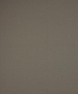 Barrow Industries Fabric Fiji 11002 M10951 21CL04 100% POLYESTER FILAMENT NON-TEXTURED CHINA </p><p>Repeat: Horizontal: and Vertical: 54" Minimum - My Fabric Connection -