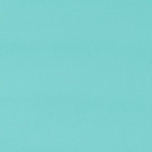 Charlotte Fabric D2816 Seaglass Patio Plains 100% Solution Dyed Polyester Asia Exceeds 100,000 Wyzenbeek Rubs </p><p>Repeat: 54 Inches - My Fabric Connection -