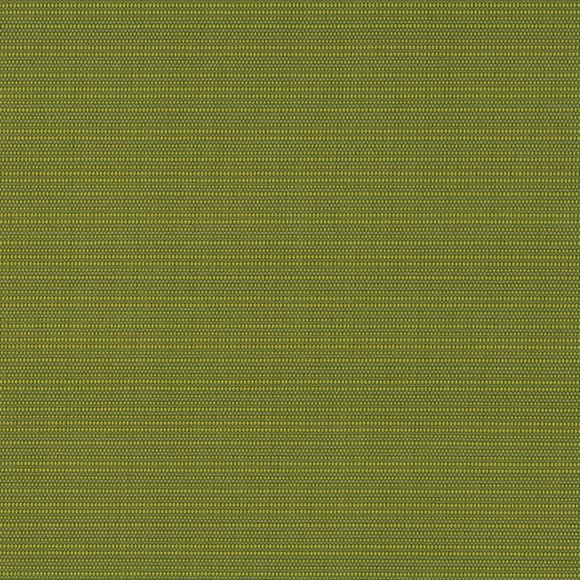 Charlotte Fabric D2844 Grass Patio Plains 100% Solution Dyed Polypropylene Asia Exceeds 100,000 Wyzenbeek Rubs </p><p>Repeat: 54 Inches - My Fabric Connection - Charlotte Fabric D2844 Grass Patio Plains 100% Solution Dyed Polypropylene Asia Exceeds 100,000 Wyzenbeek Rubs </p><p>Repeat: 54 Inches - My Fabric Connection -