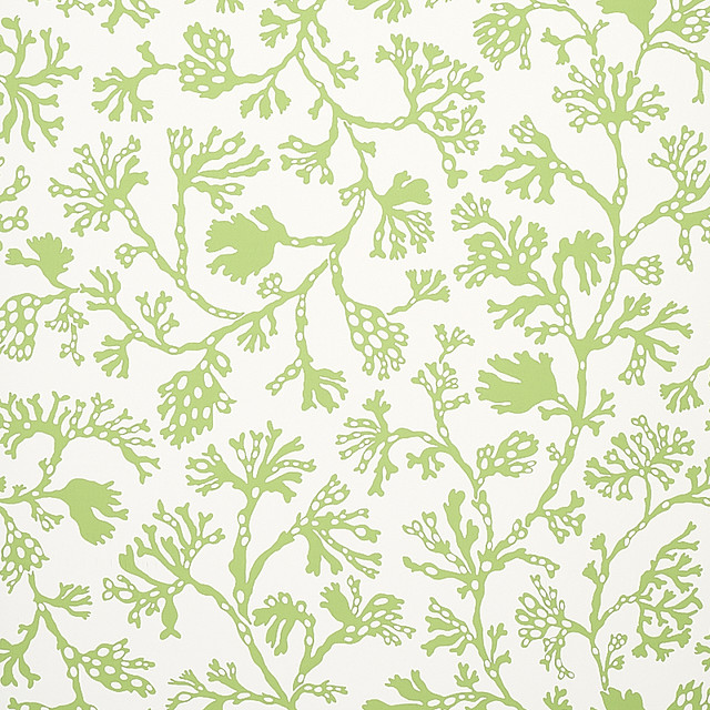 Schumacher Wallcovering Anthoza Green 5012131 Wallcovering Paper UNITED STATES OF AMERICA </p><p>Repeat: H: HORZ. 27" (69CM), V: VERT. 27" (69CM) 27 - My Fabric Connection - Schumacher Wallcovering Anthoza Green 5012131 Wallcovering Paper UNITED STATES OF AMERICA </p><p>Repeat: H: HORZ. 27" (69CM), V: VERT. 27" (69CM) 27 - My Fabric Connection -