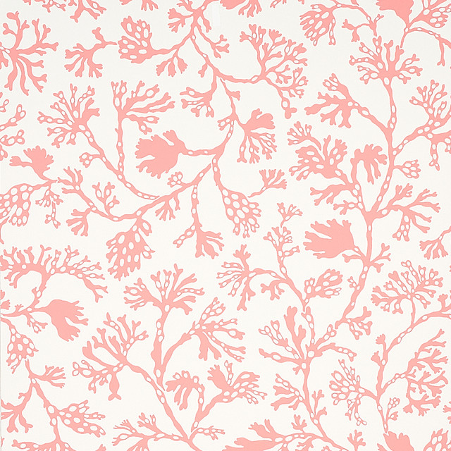 Schumacher Wallcovering Anthoza Coral 5012132 Wallcovering Paper UNITED STATES OF AMERICA </p><p>Repeat: H: HORZ. 27" (69CM), V: VERT. 27" (69CM) 27 - My Fabric Connection -