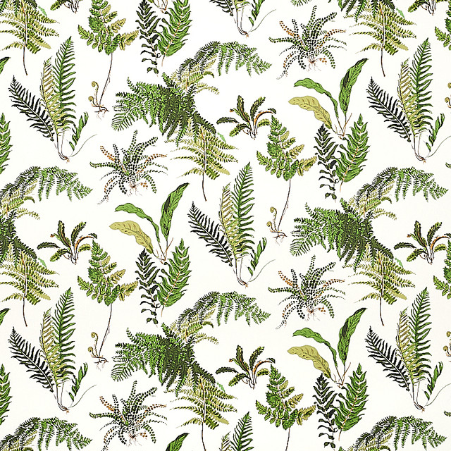 Schumacher Wallcovering Les Fougeres Document 5010660 Wallcovering Paper UNITED STATES OF AMERICA </p><p>Repeat: H: HORZ. 18" (46CM) , V: VERT. 25 1/4" (64CM) 54.5 - My Fabric Connection - Schumacher Wallcovering Les Fougeres Document 5010660 Wallcovering Paper UNITED STATES OF AMERICA </p><p>Repeat: H: HORZ. 18" (46CM) , V: VERT. 25 1/4" (64CM) 54.5 - My Fabric Connection -