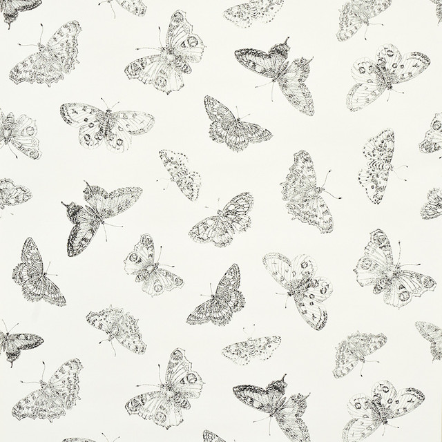 Schumacher Wallcovering Burnell Butterfly Ivory 5011740 Wallcovering Paper UNITED STATES OF AMERICA </p><p>Repeat: H: HORZ. 27" (69CM) , V: VERT. 20 1/2" (52CM) 27 - My Fabric Connection - Schumacher Wallcovering Burnell Butterfly Ivory 5011740 Wallcovering Paper UNITED STATES OF AMERICA </p><p>Repeat: H: HORZ. 27" (69CM) , V: VERT. 20 1/2" (52CM) 27 - My Fabric Connection -