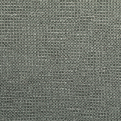 Kravet Fabric 36282.2111.0 Fabric COTTON - 60%;LINEN - 40% India HEAVY </p><p>Repeat: H: 0, V: 0 55 - My Fabric Connection -