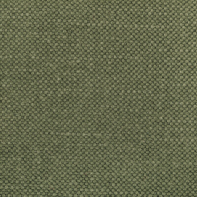Kravet Fabric 36282.323.0 Fabric COTTON - 60%;LINEN - 40% India HEAVY </p><p>Repeat: H: 0, V: 0 55 - My Fabric Connection -