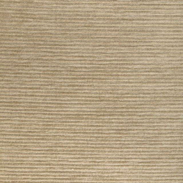 Kravet Fabric 36651.1116.0 Fabric POLYFIL - 81%;SPUN POLYESTER - 19% India HEAVY </p><p>Repeat: H: 0, V: 0 54 - My Fabric Connection -