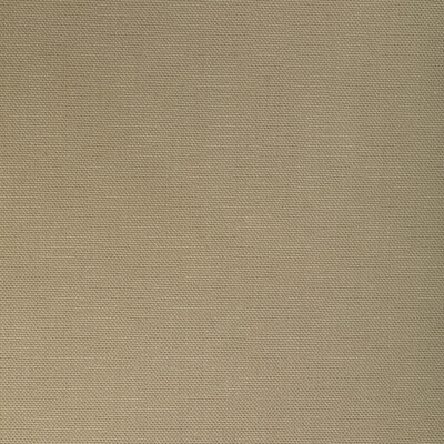 Kravet Fabric 36656.1616.0 Fabric COTTON - 100% India HEAVY </p><p>Repeat: H: 0, V: 0 55 - My Fabric Connection -