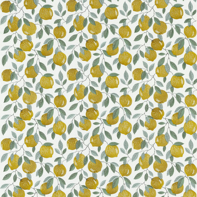 Clarke And Clarke Fabric F1508/01.CAC.0 Fabric COTTON - 100% India </p><p>Repeat: H: 17.05, V: 18.9 51.18 - My Fabric Connection -