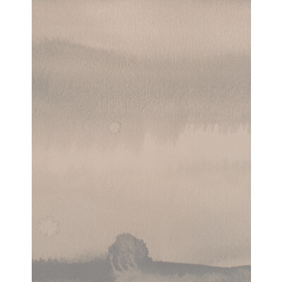 Winfield Thybony Wallcovering WDW2174.WT.0 Wallcovering VINYL ON NON WOVEN - 100% United States </p><p>Repeat: H: , V: 54 - My Fabric Connection -