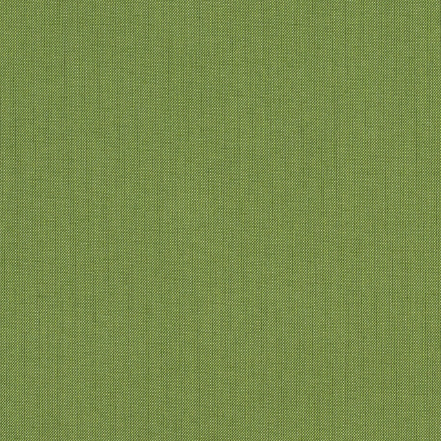 Sunbrella Fabric 48022 77 Rain Spectrum Cilantro Sunbrella Rain 100% Sunbrella® Acrylic USA or Imported 5-Year Horizontal: and Vertical: 60 yd. 54 in. - My Fabric Connection -