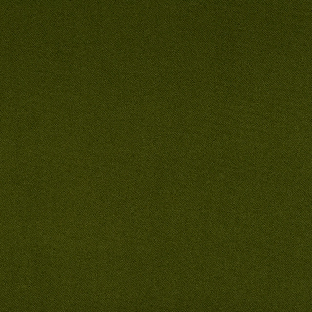 Magnolia Fabric Insideout Coco Ivy - 100% Poly (Uv) Usa 200,000+ Horizontal: 0 and Vertical: 0 55" - My Fabric Connection -