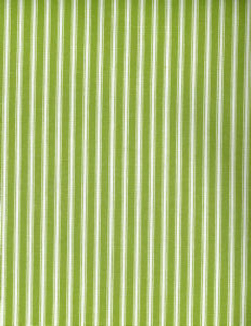 Norbar Fabric Native Kiwi 285 ARCADE 100% COTTON 1/2"H 55 - My Fabric Connection -