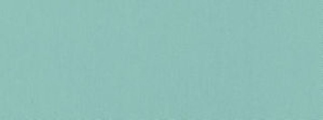Norbar Fabric Campo Sky Blue 528 CAMPO 100% COTTON INDIA 54" - My Fabric Connection -