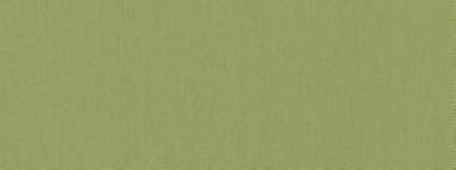 Norbar Fabric Campo Willow 216 CAMPO 100% COTTON INDIA 54" - My Fabric Connection -