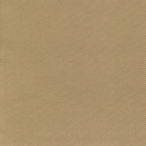 Norbar Fabric Trace Camel CAMPO 100% COTTON USA 55 - My Fabric Connection -