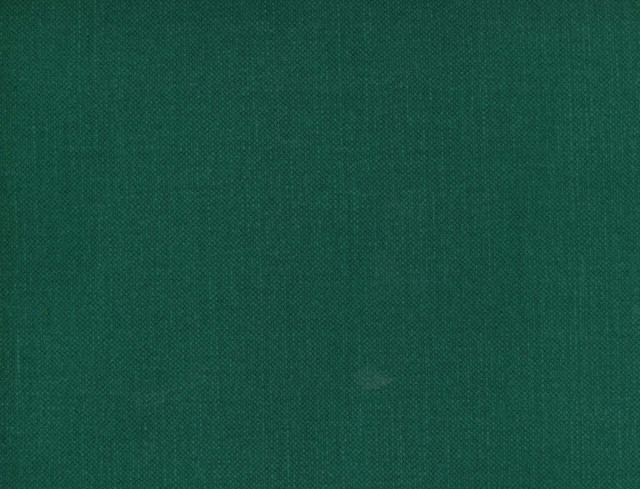 Norbar Fabric Frenzy Kale 398 FRENZY 60% COTTON 40% LINEN INDIA 54 - My Fabric Connection -