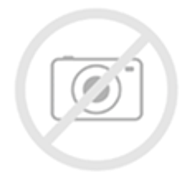 Norbar Fabric Action Yolk 147 HOPE II 100% POLYESTER INDIA 1/2"V 3/4"H 54 - My Fabric Connection -