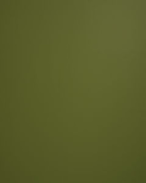 Norbar Fabric Lucky Aloe LUCKY 100% POLYURETAHNE CHINA 54 - My Fabric Connection -