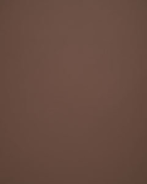 Norbar Fabric Lucky Pecan LUCKY 100% POLYURETAHNE CHINA 54 - My Fabric Connection - Norbar Fabric Lucky Pecan LUCKY 100% POLYURETAHNE CHINA 54 - My Fabric Connection -