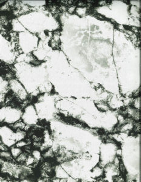Norbar Fabric Griffin White SENSATION 100% POLYESTER INDIA 17 3/4"V 17 3/4"H 56 - My Fabric Connection -