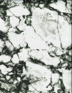 Norbar Fabric Griffin White SENSATION 100% POLYESTER INDIA 17 3/4"V 17 3/4"H 56 - My Fabric Connection -